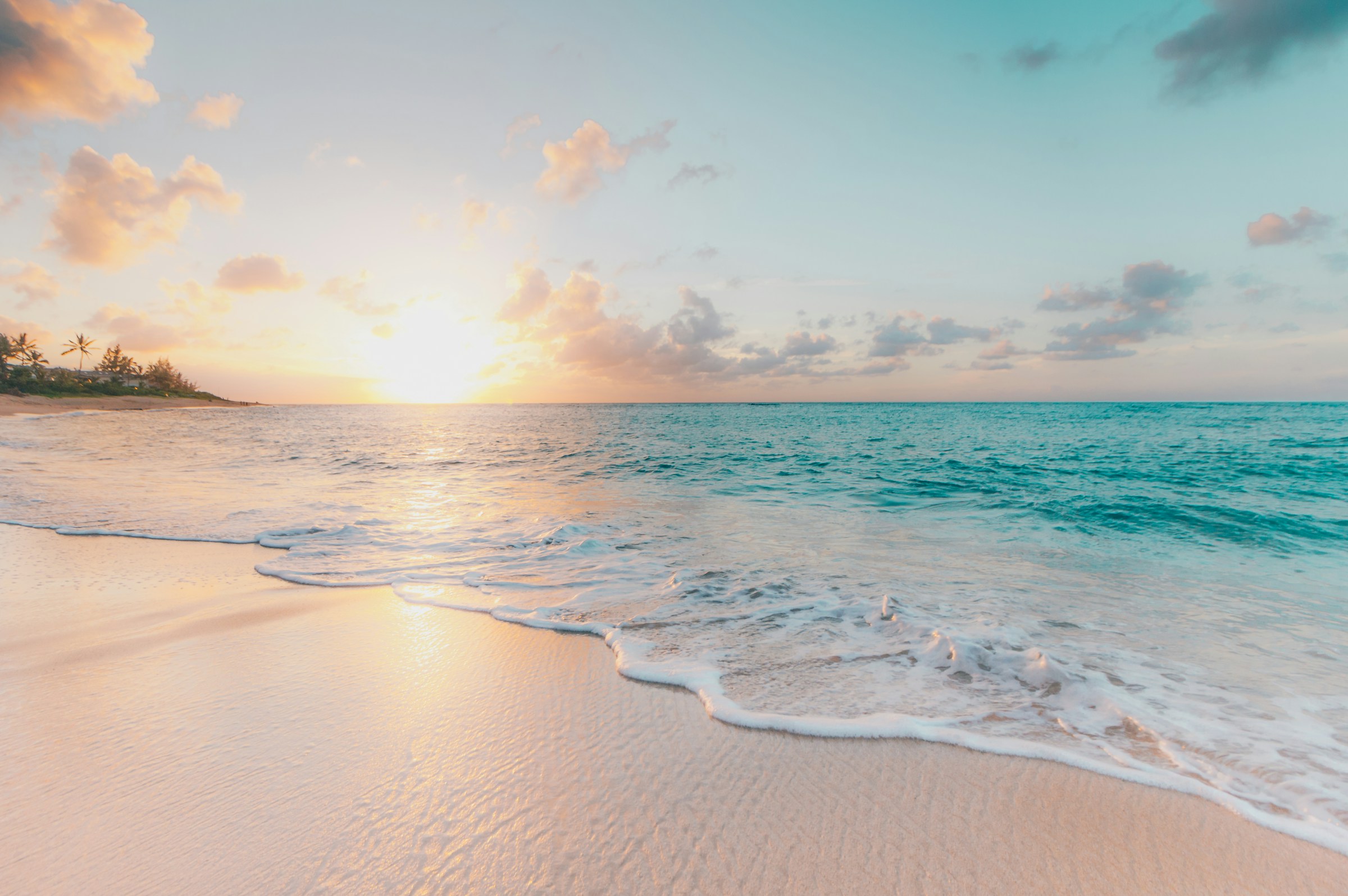 A dog walking on the beach at sunset with its walker in the background